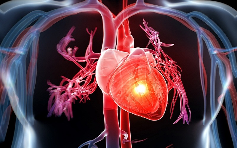 Những điều cần biết về bệnh tim mạch ở nam giới